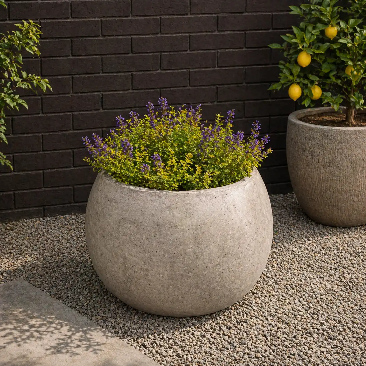 Round Concrete Pots for Gardens concrete plant pots in Gauteng