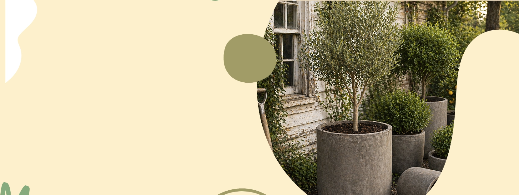 Commercial Concrete Planters for Landscaping promotion collection at Premium Plant Pots