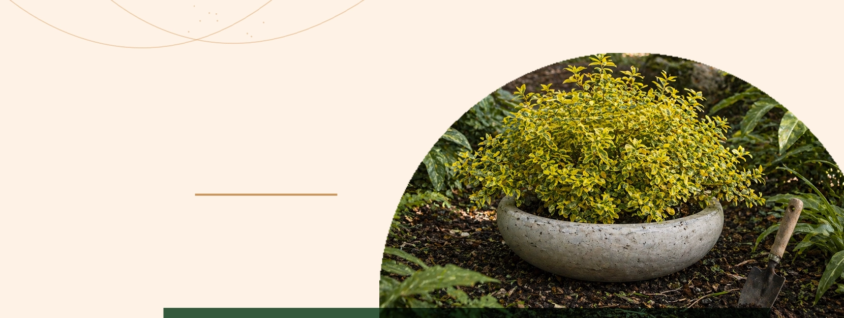 Small Indoor Concrete Plant Pots promotion collection at Premium Plant Pots
