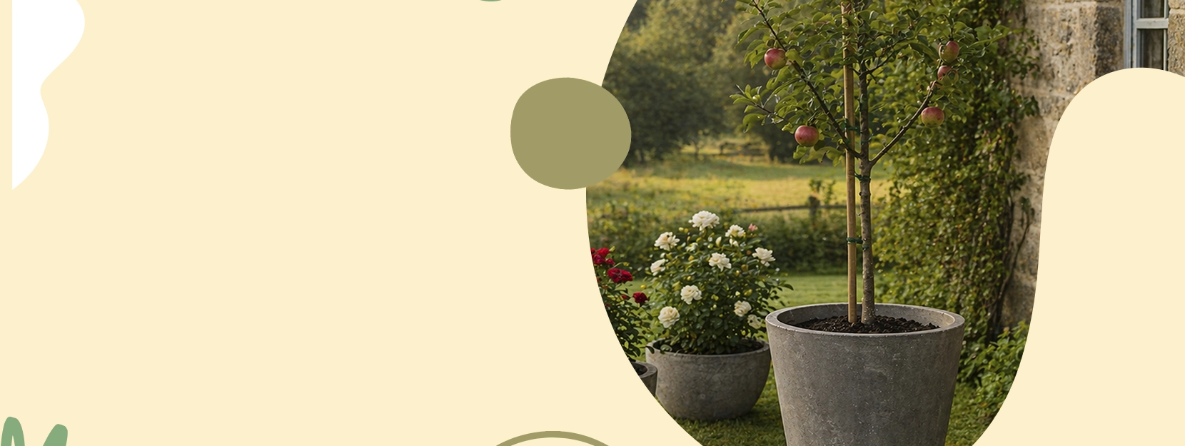 Tapered Concrete Pots for Entrances promotion collection at Premium Plant Pots